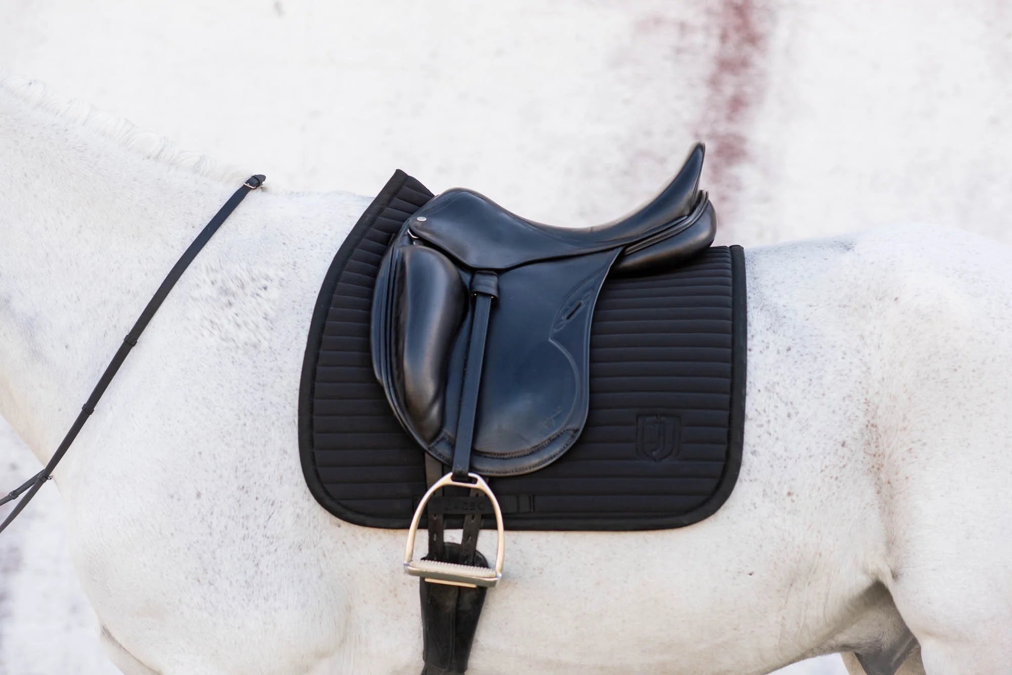 Jacson Karlskrona Dressyrschabrak Svart