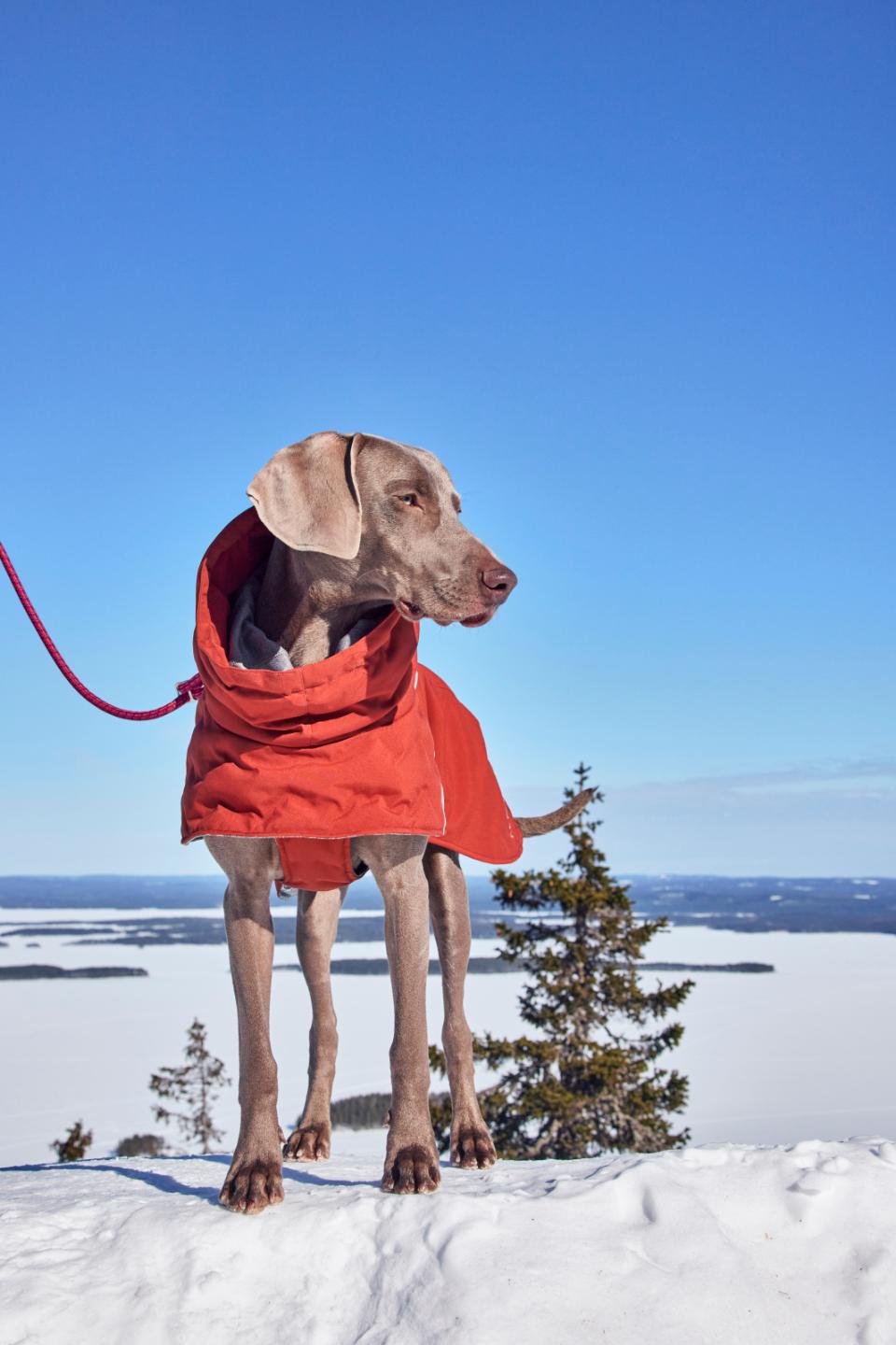 Hurtta Extreme Warmer III ECO Cinnamon