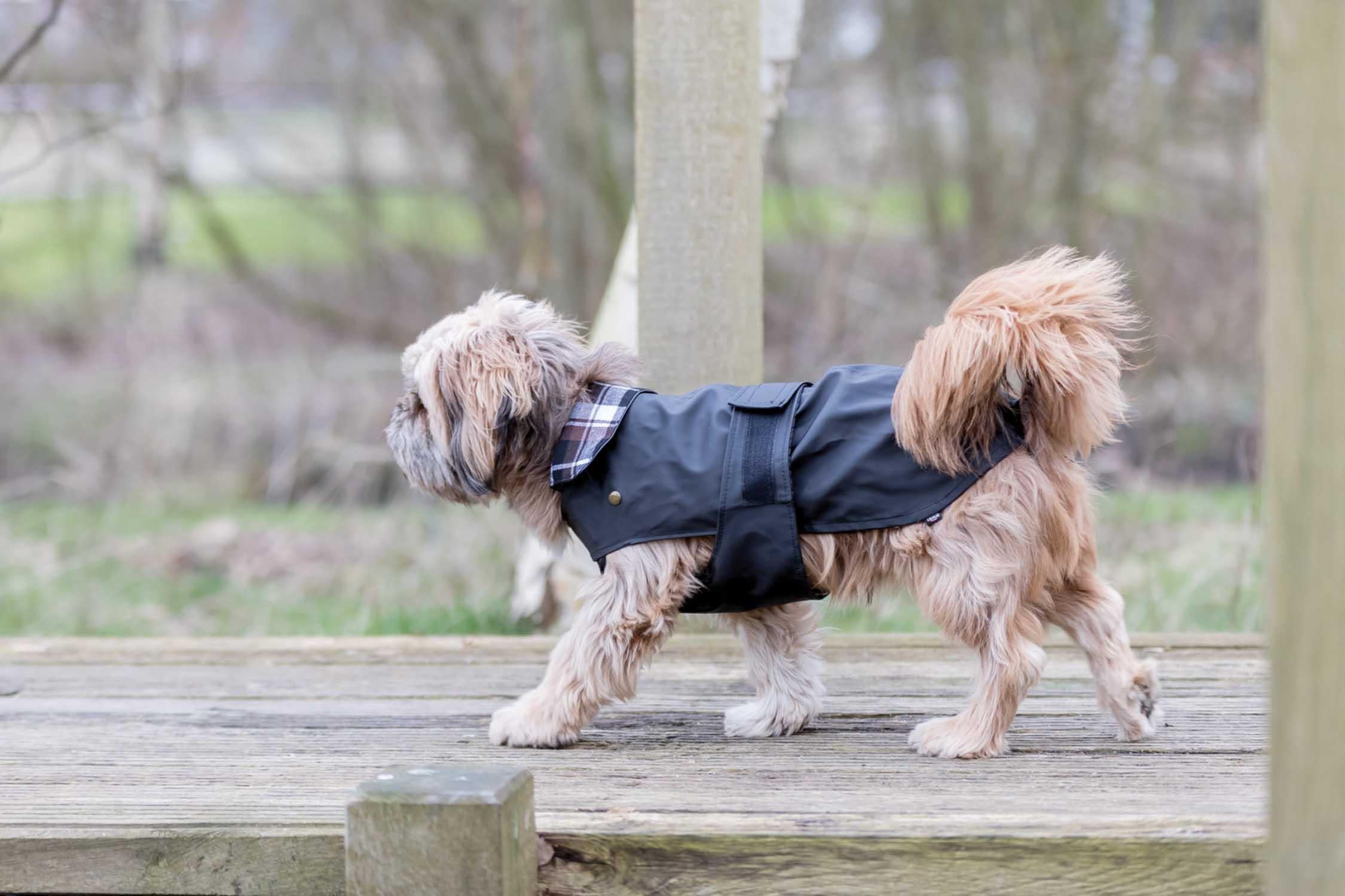 Paris Hundtäcke XS: 30 cm, 22-36 cm, svart