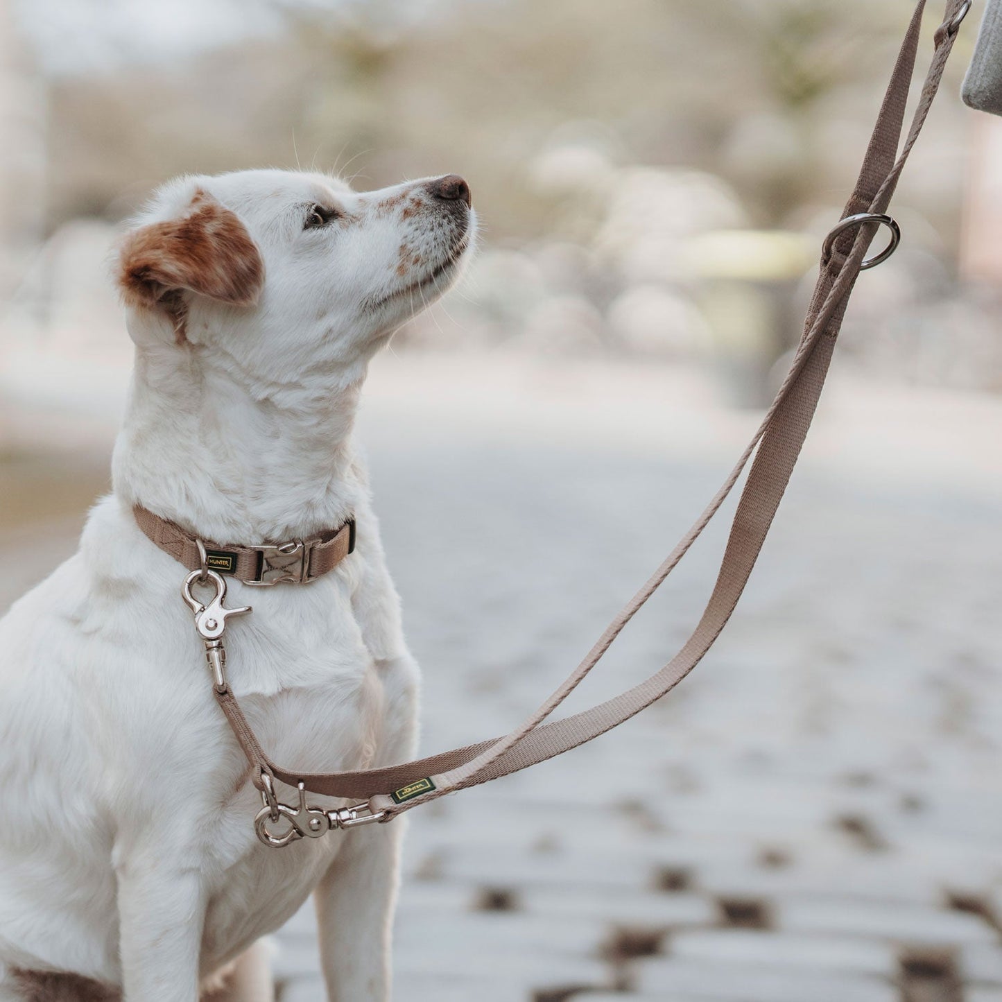 HUNTER Ställbart halsband Inari Alu-Strong Beige