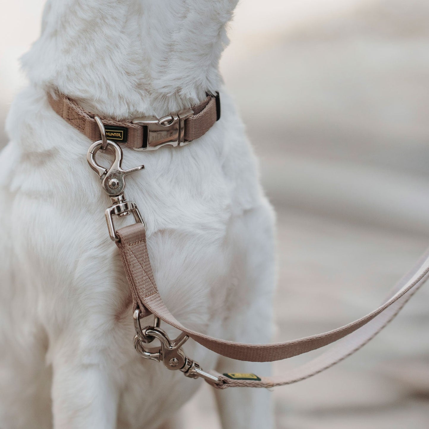 HUNTER Ställbart halsband Inari Alu-Strong Beige