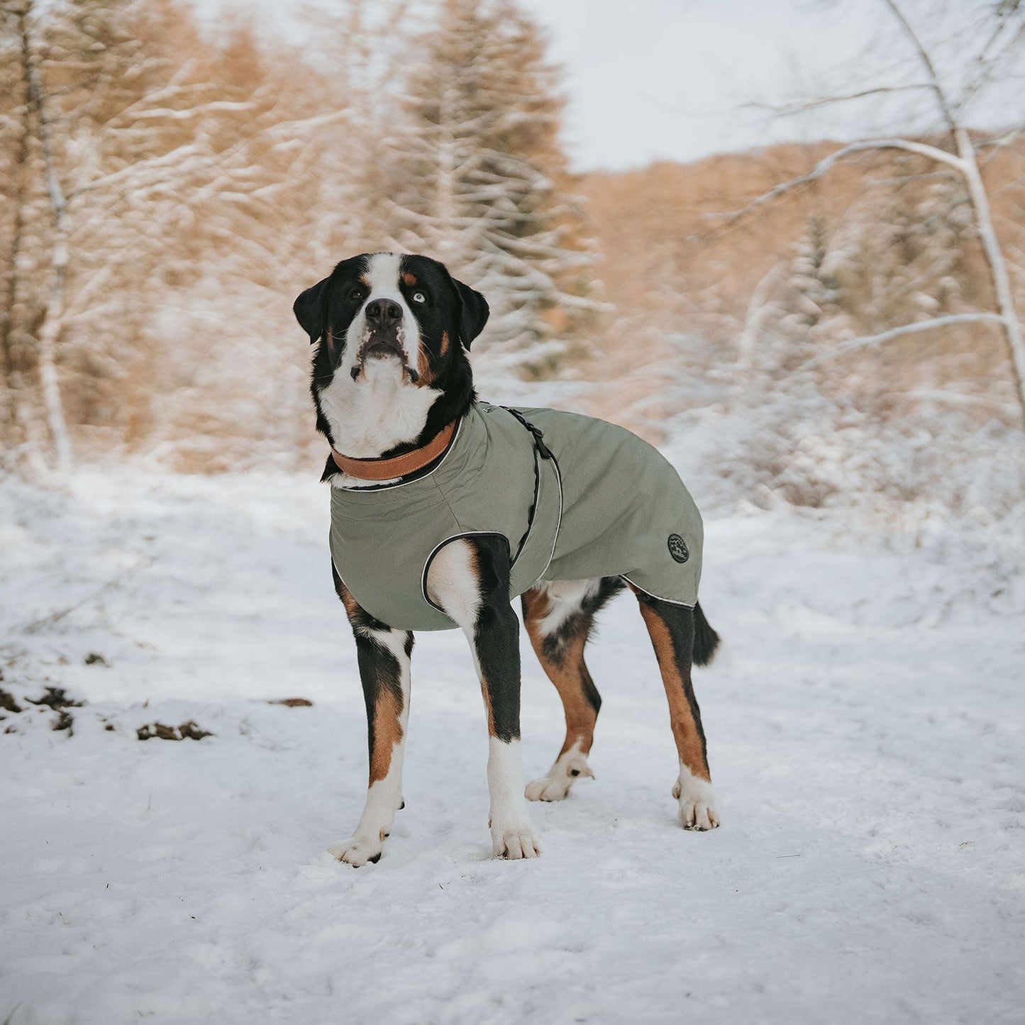 Hunter Uppsala täcke 2in1 fodrat Khaki