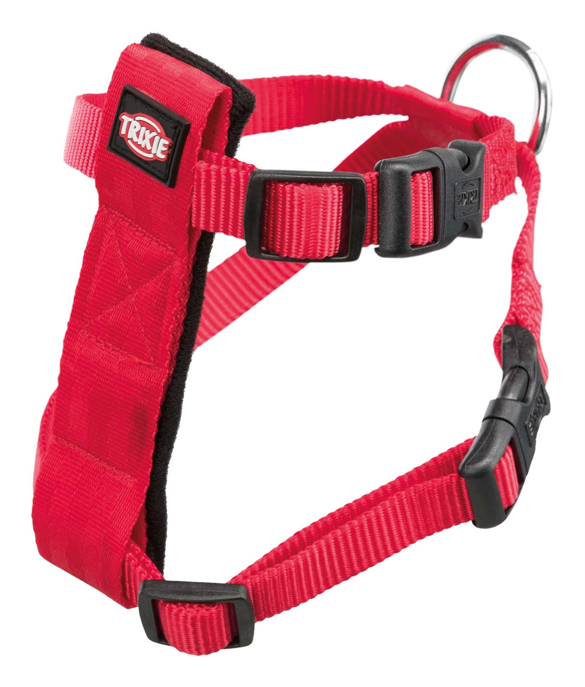 Bilsele Katt Röd 20-50 cm