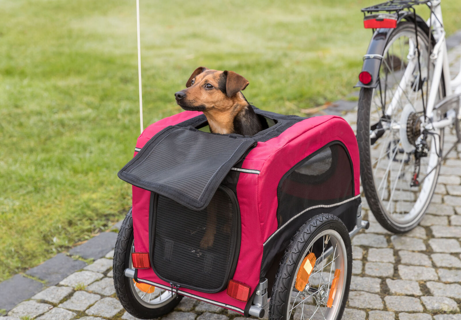 Trixie Cykelvagn För Hund