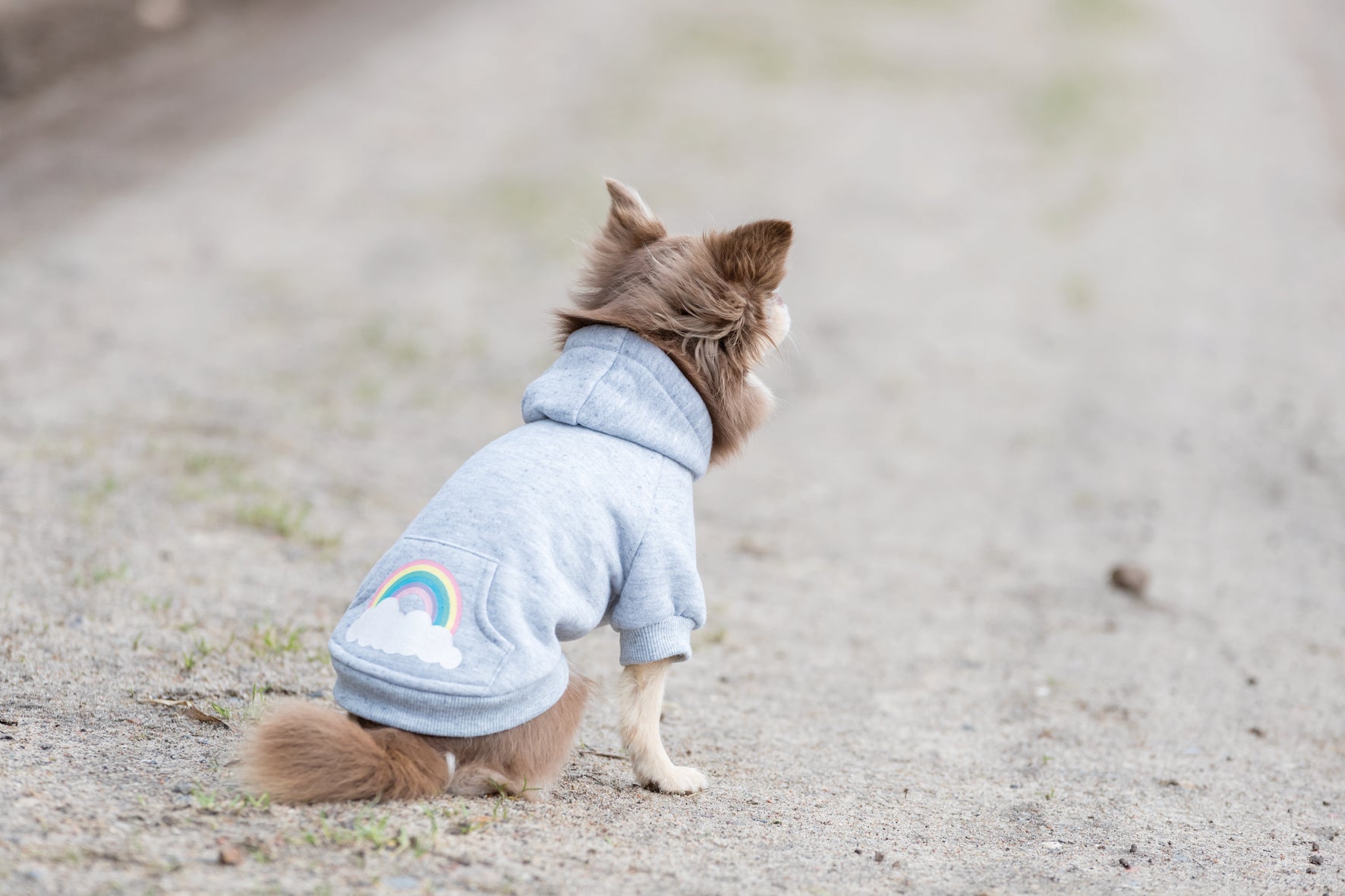 Rainbow Falls hoodie, S: 33 cm, ljusgrå