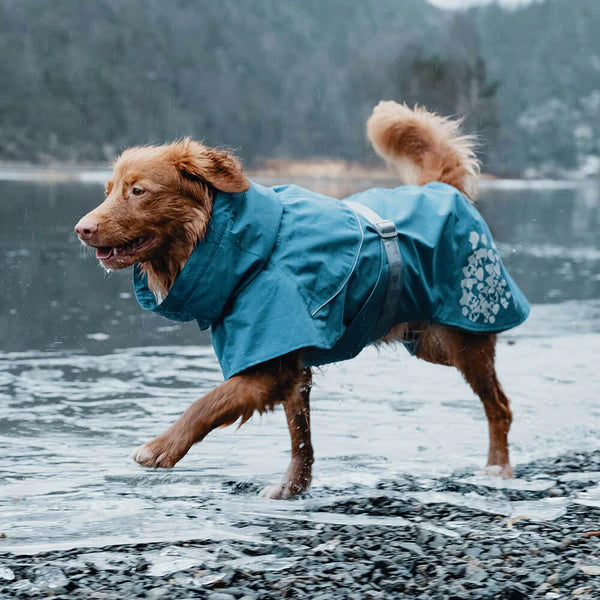 Hurtta Monsoon frakke Bilberry