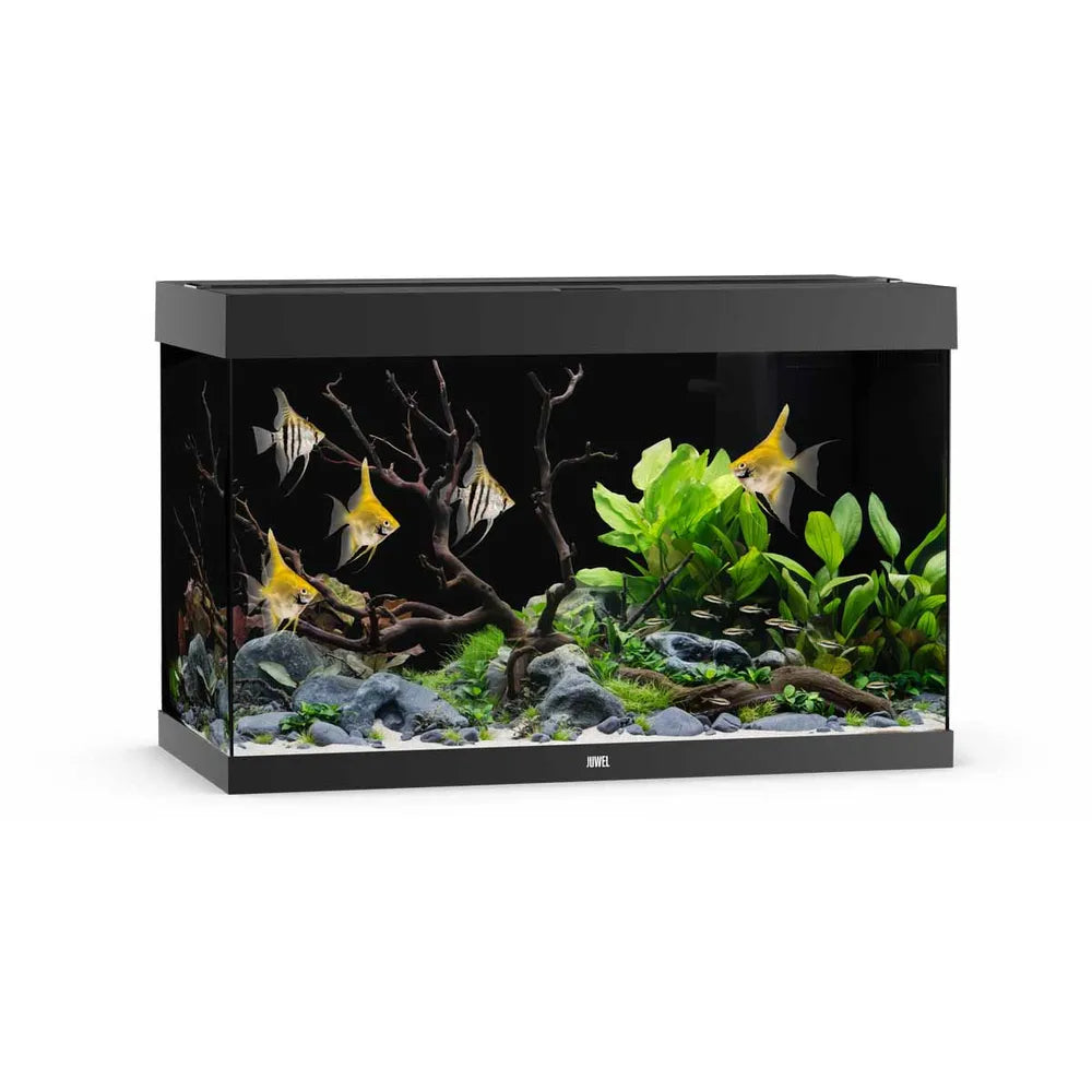 Juwel Akvarium Led Rio 290 Svart