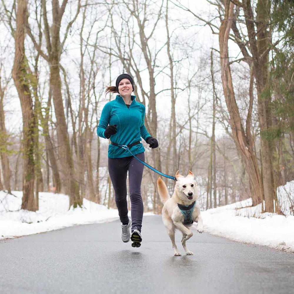 Kurgo Reflect&protect Quantum Leash Barn Svart/Orange