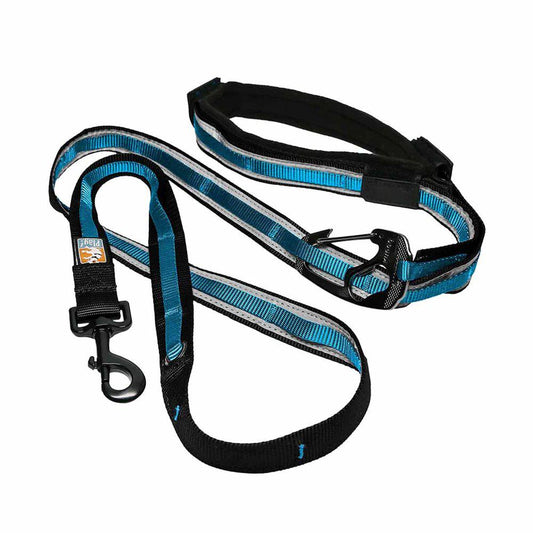 Kurgo Reflect&protect Quantum Leash Barn Coastal Blue