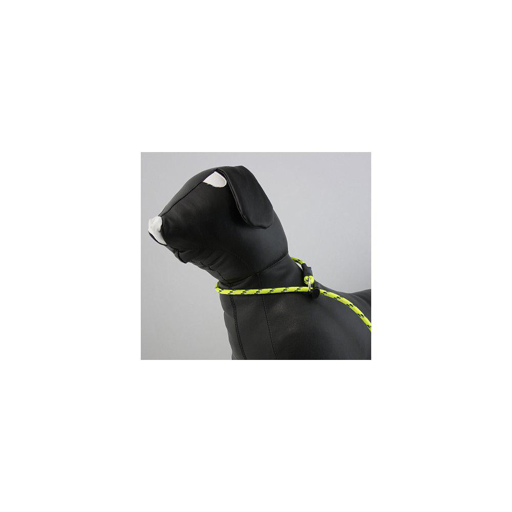 Alac Koppel Retriever  Limegul Med Reflex mx190Cm