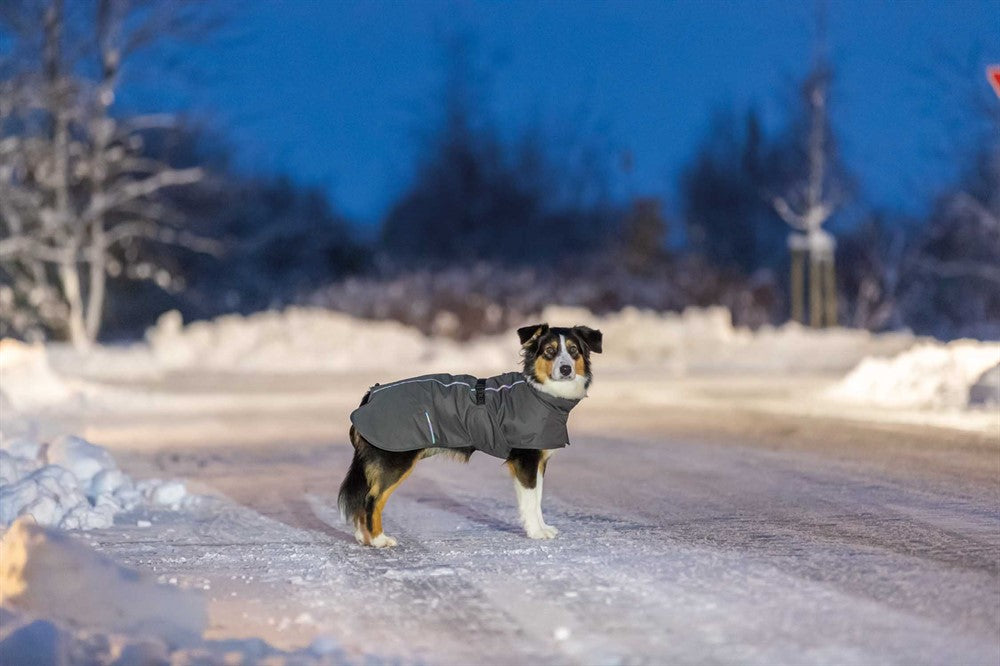 Trixie Täcke Limoux Stengrå