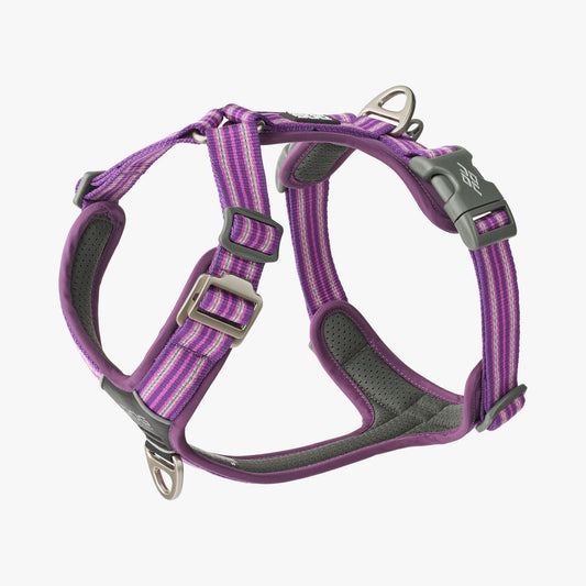 Dog Copenhagen Comfort Walk Air 3.0 Harness Lila