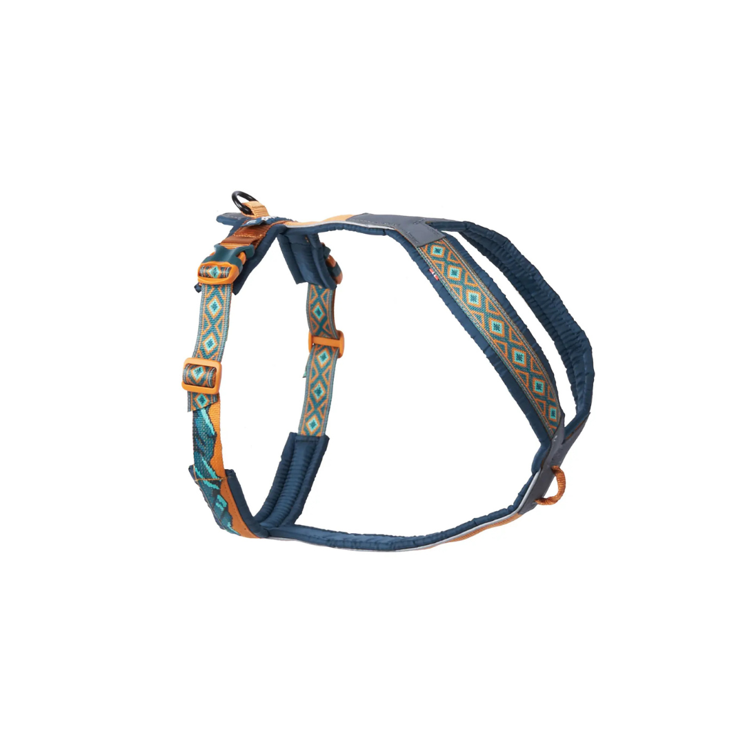 Non-stop Dogwear Line harness 5.0 Rachel Pohl edition Teal/Oak