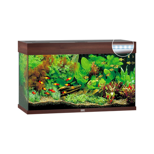 Juwel Rio LED akvarium Brun