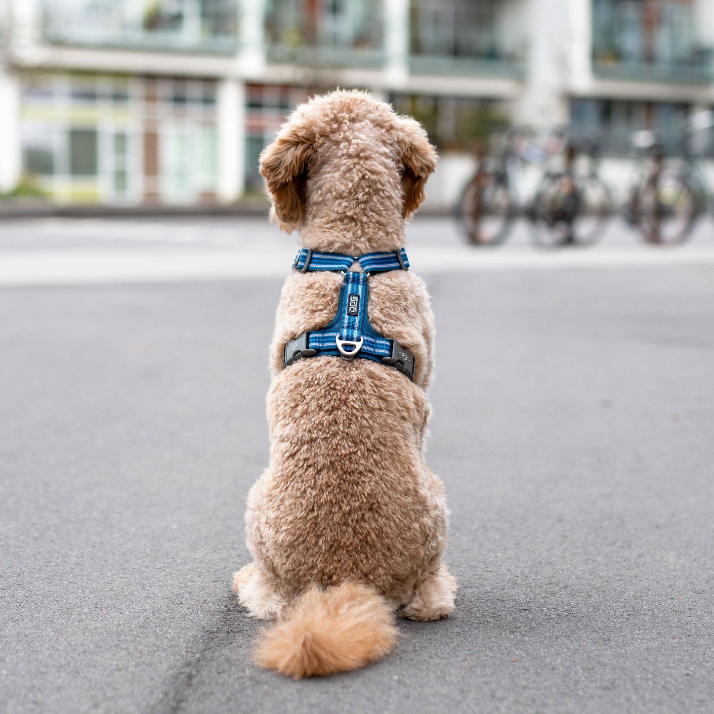 Dog Copenhagen Comfort Walk Air 3.0 Harness Blå