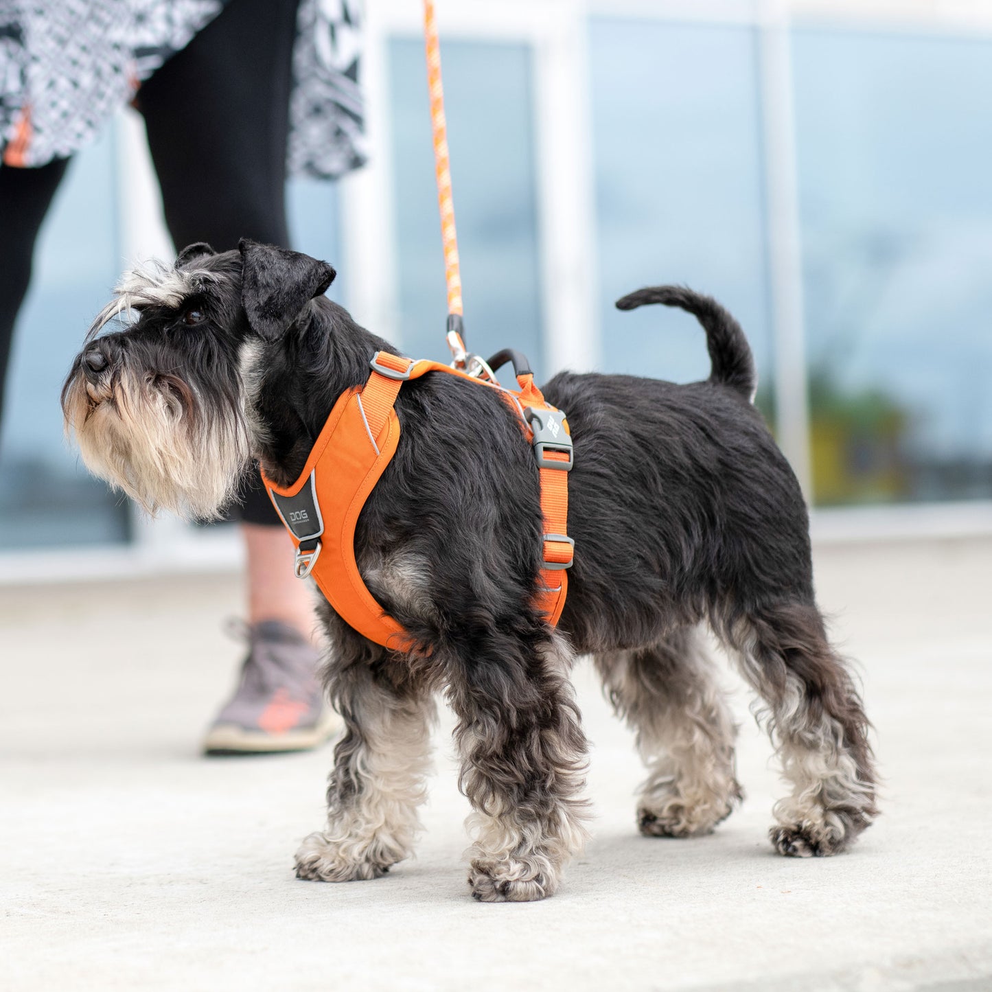 Dog Copenhagen Comfort Walk Pro 3.0 Harness Orange