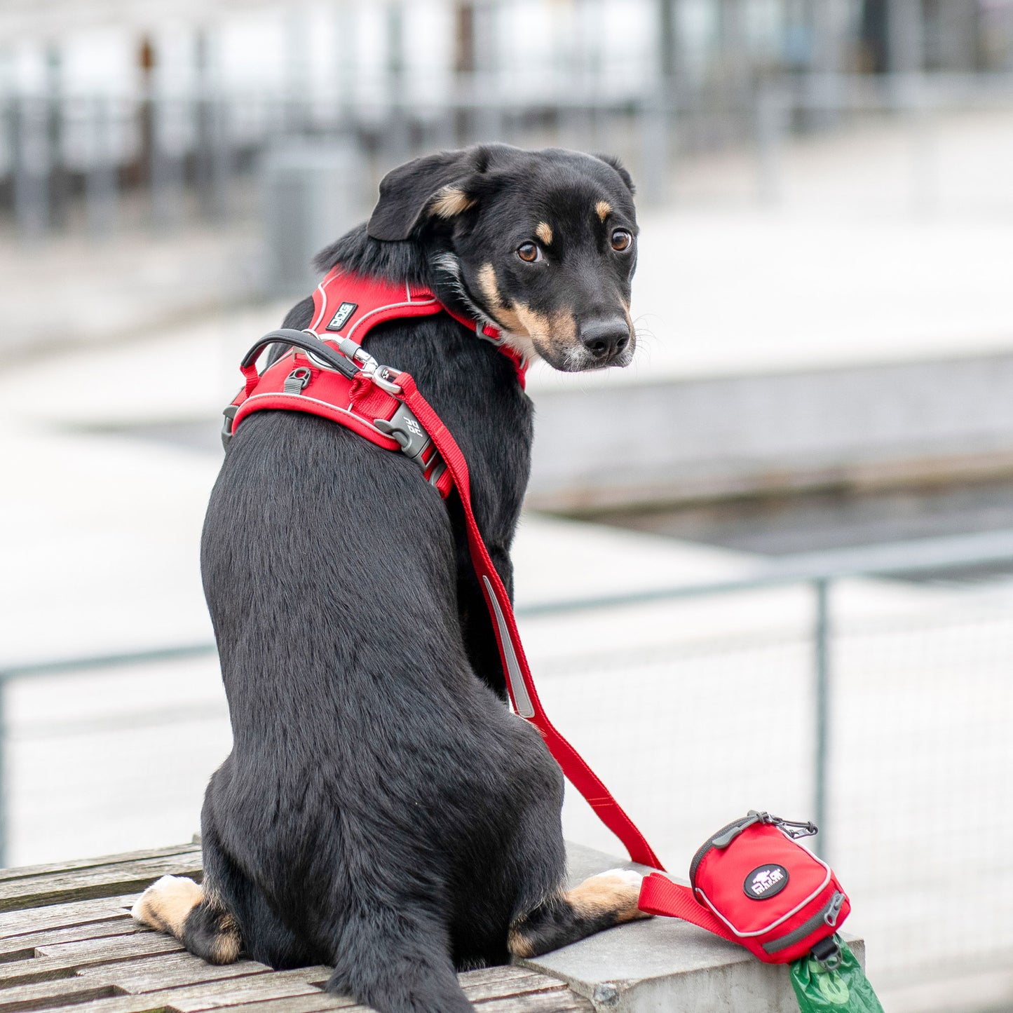 Dog Copenhagen Comfort Walk Pro 3.0 Harness Röd