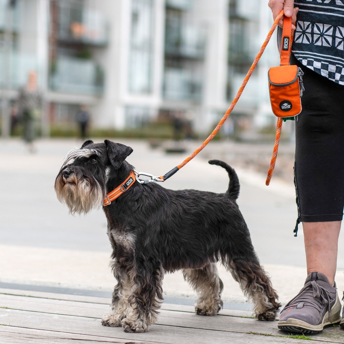 Dog Copenhagen Urban Style 3.0 Collar Orange