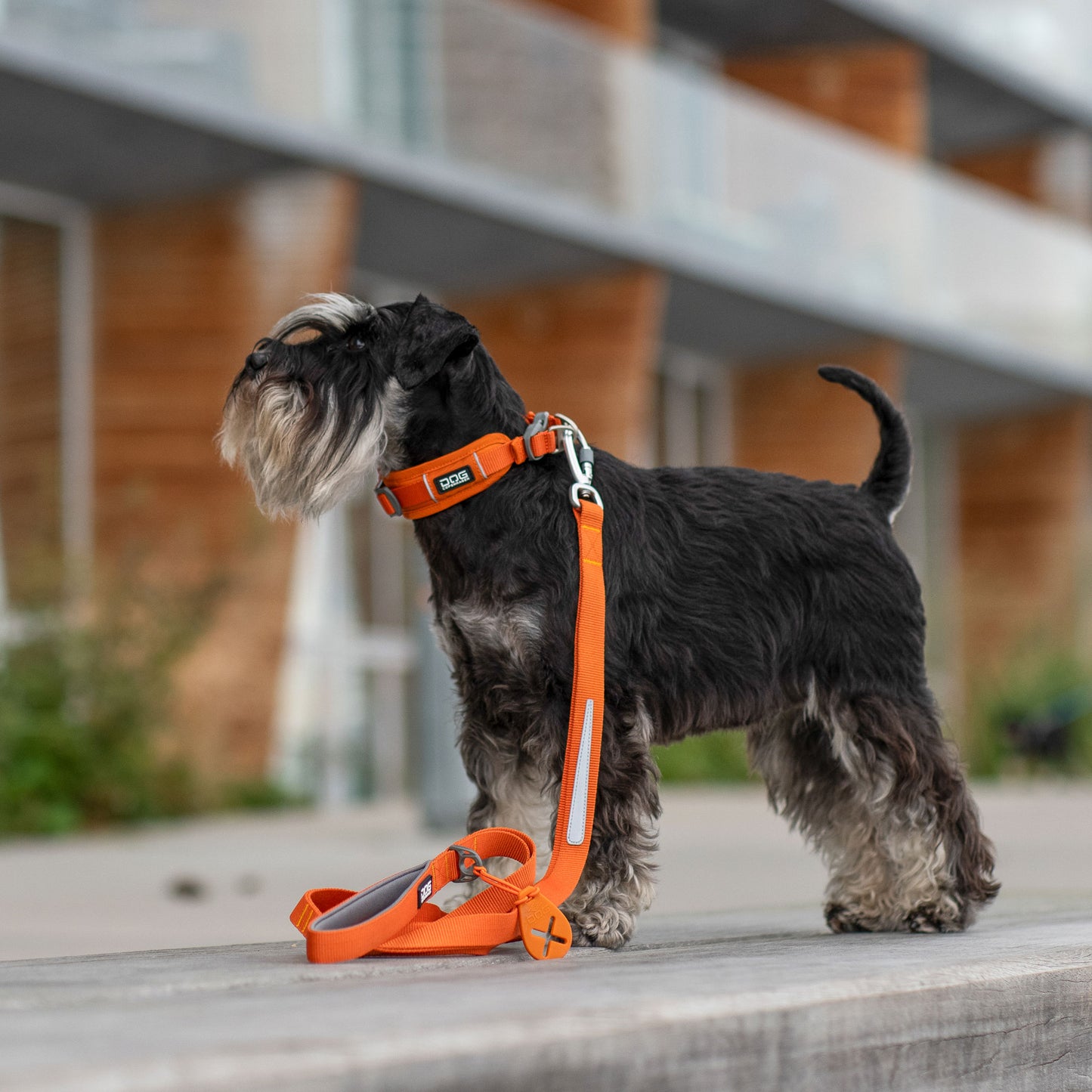 Dog Copenhagen Urban Trail 3.0 Leash Orange