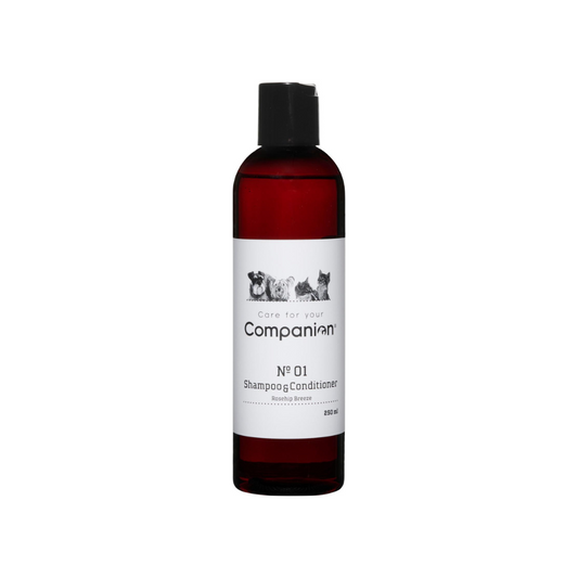 Companion 2 in 1 shampoo 250ml