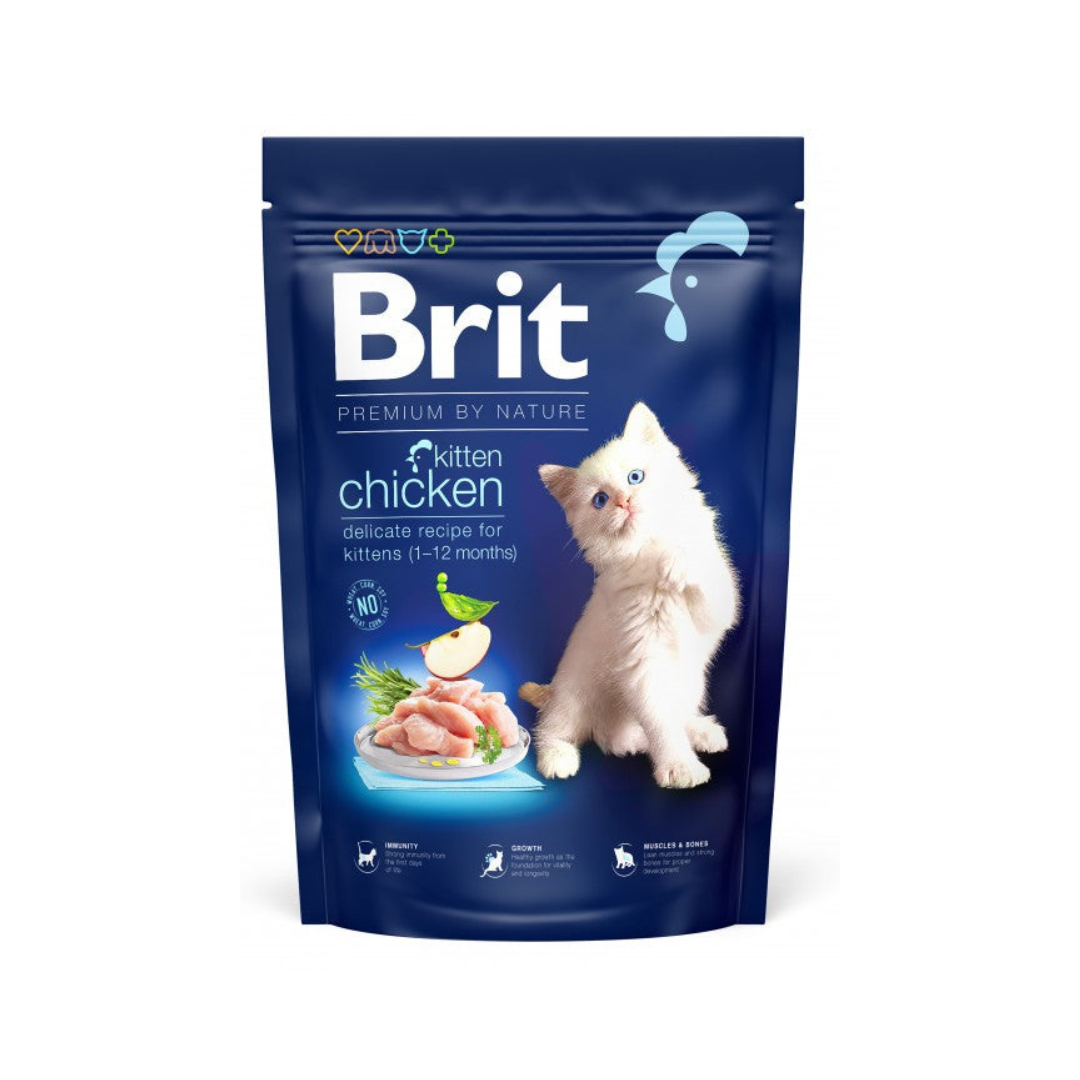 Brit PbN Kitten Kyckling