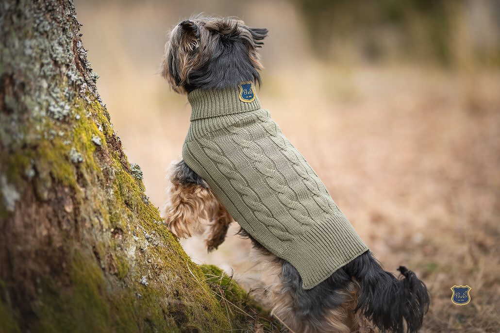 Gustaf och Evita Hundtröja Stickat Olivgrön