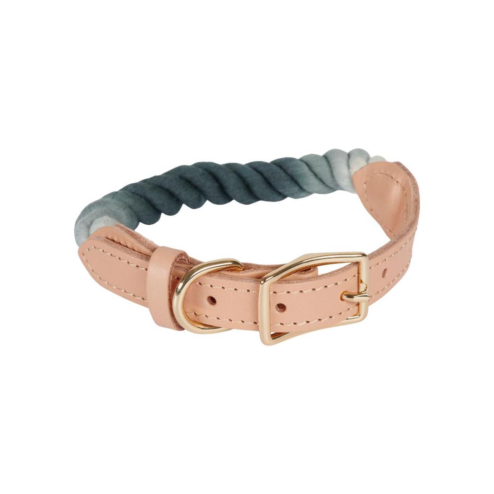 Companion Combi-Rep Hundhalsbånd