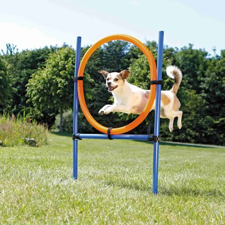 Trixie Agility Hoppring Plast 78 x 65 x 115 cm