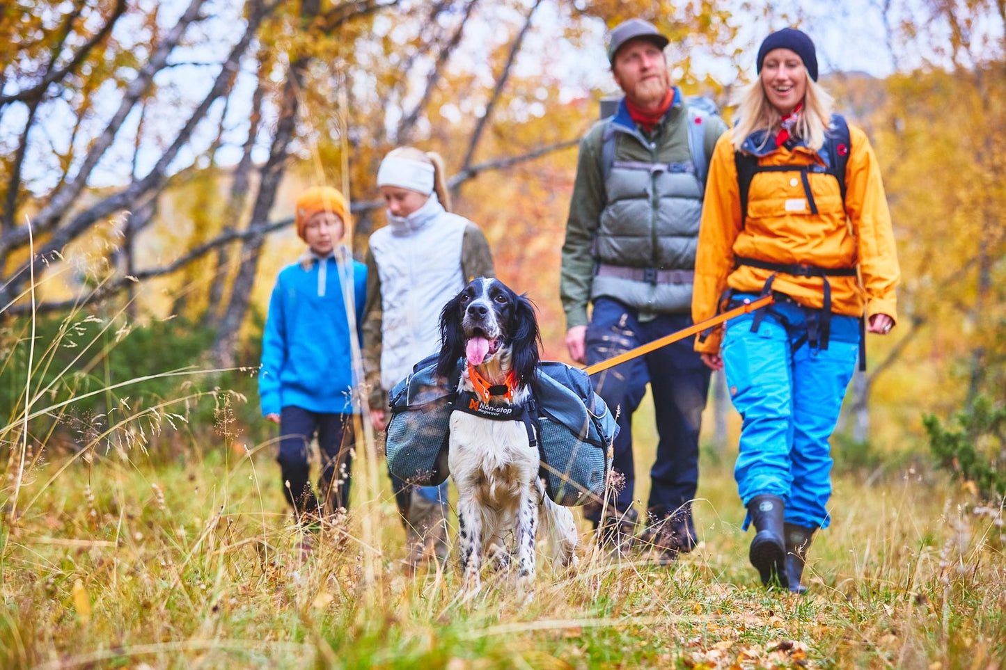 Non-stop Dogwear Amundsen pack