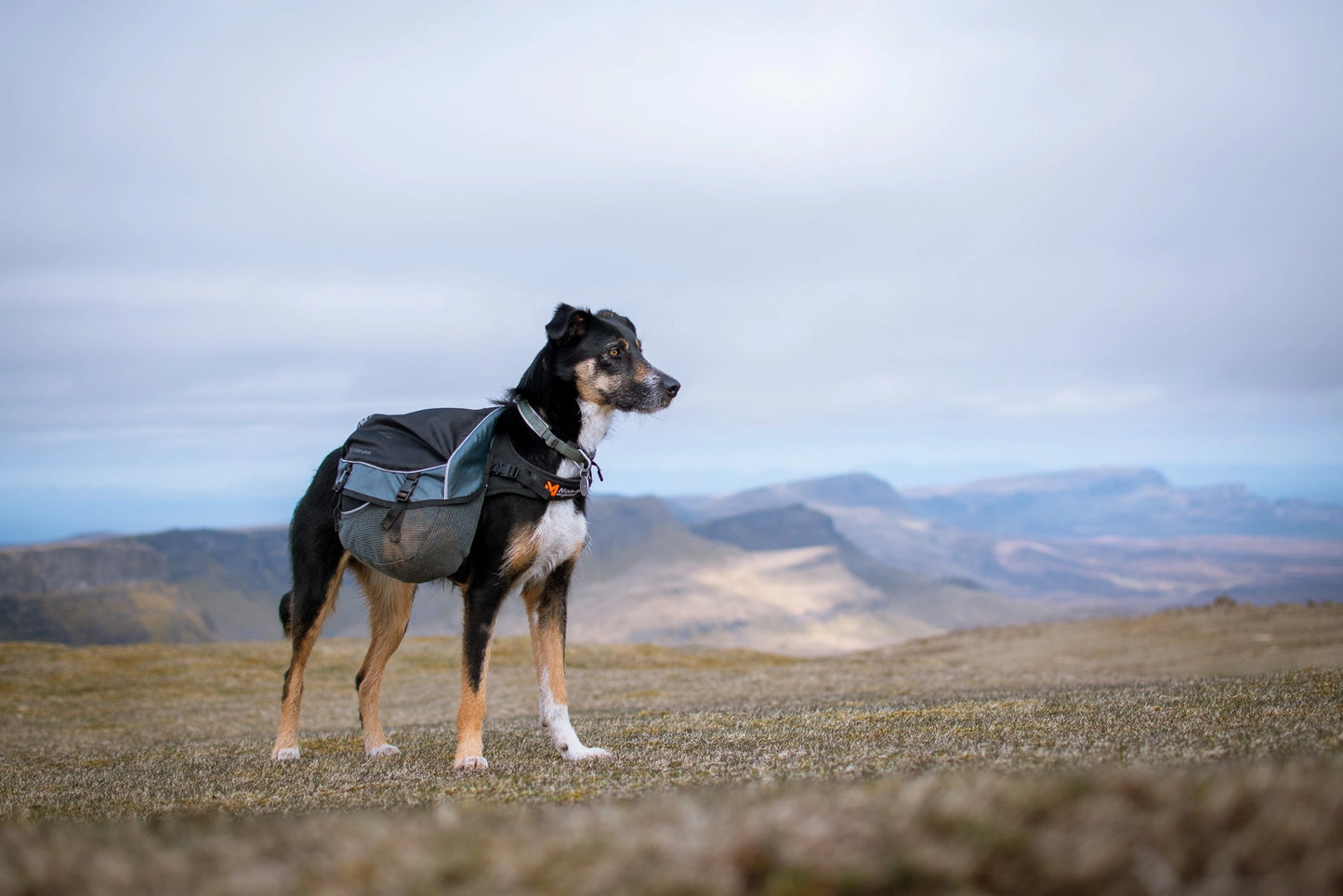 Non-stop Dogwear Amundsen pack