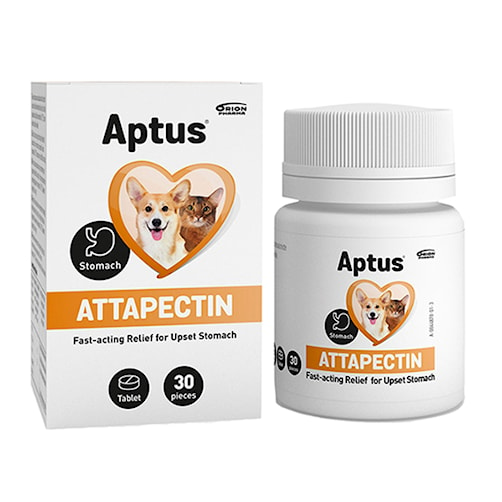 Aptus Attapectin Tablett /30