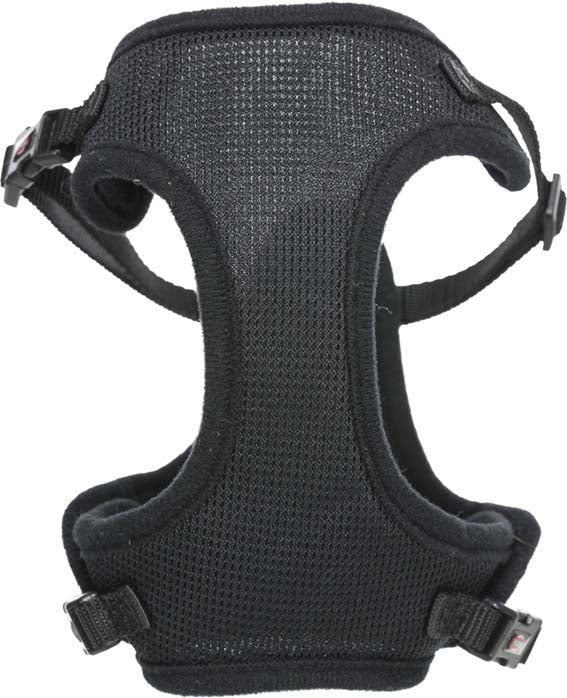 Y-sele, katt, med elastiskt koppel, 39-60 cm/10 mm, 100 cm