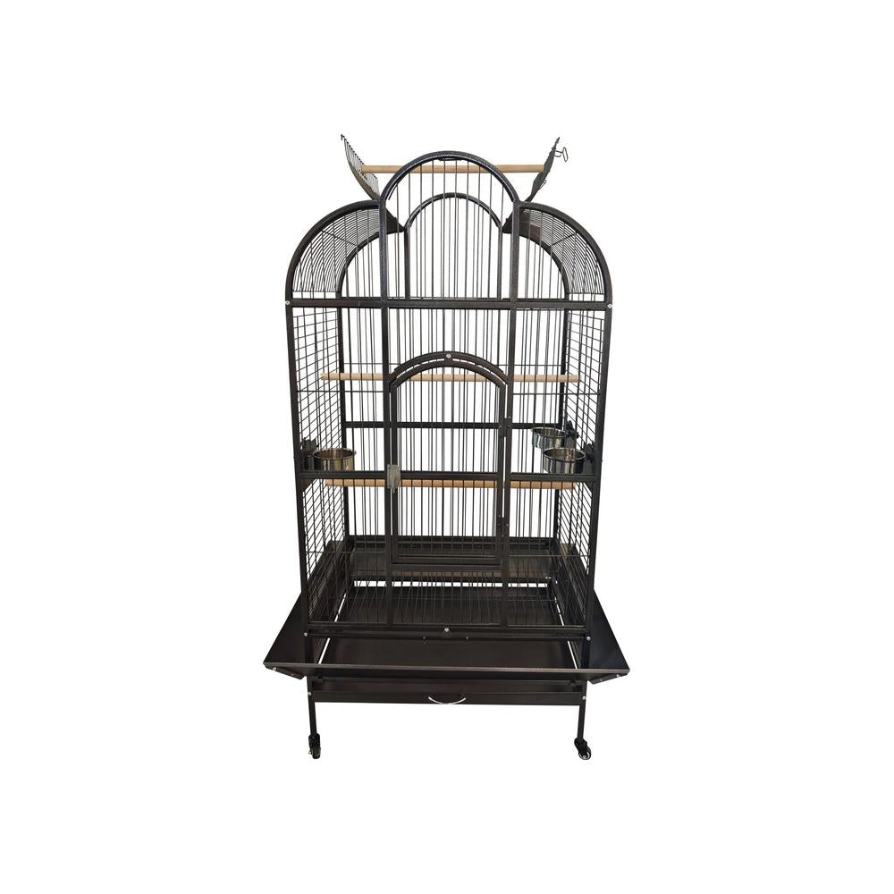 Companion Bow Papegojbur