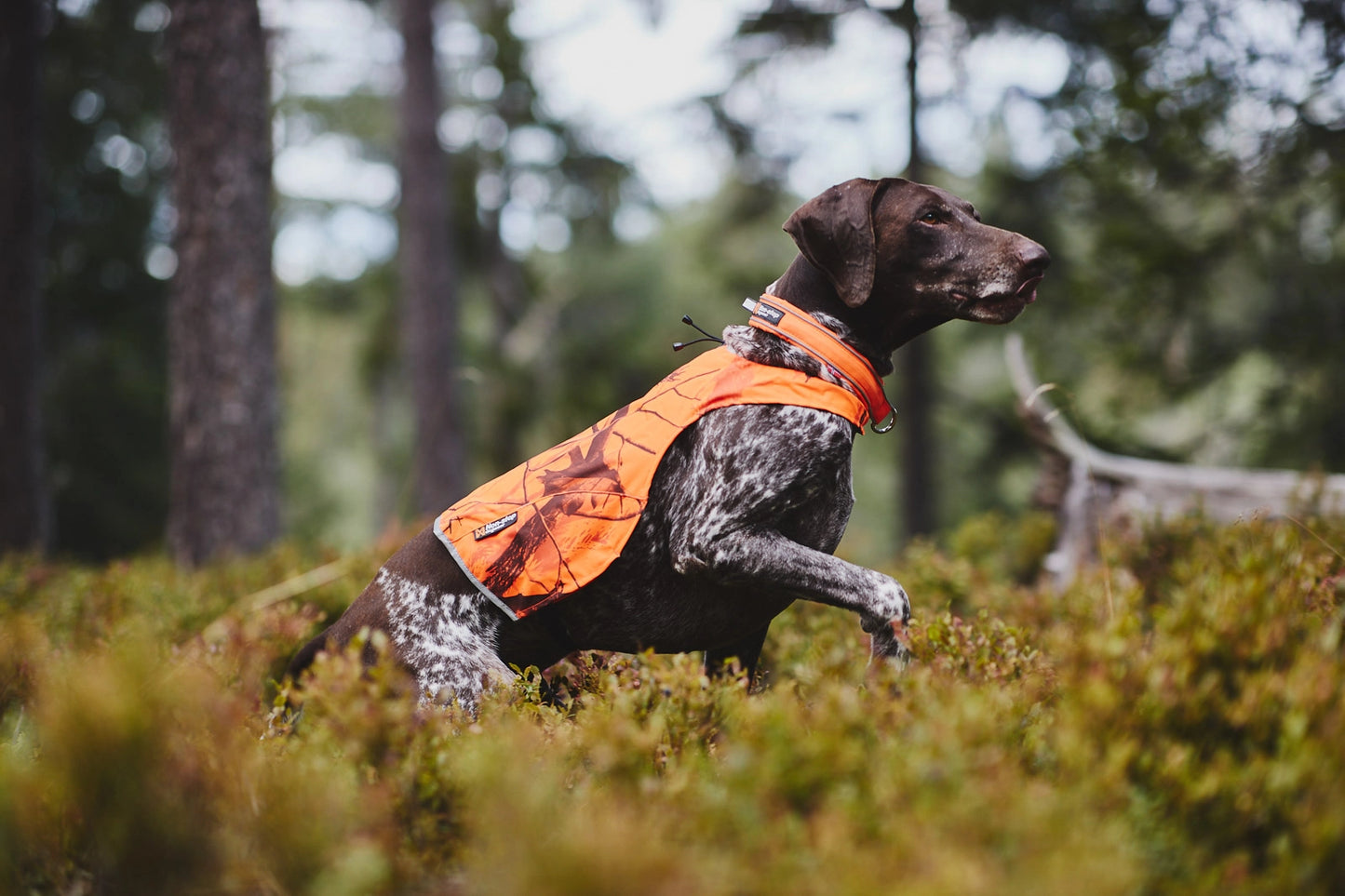 Non-stop Dogwear Camo Hundväst Orange