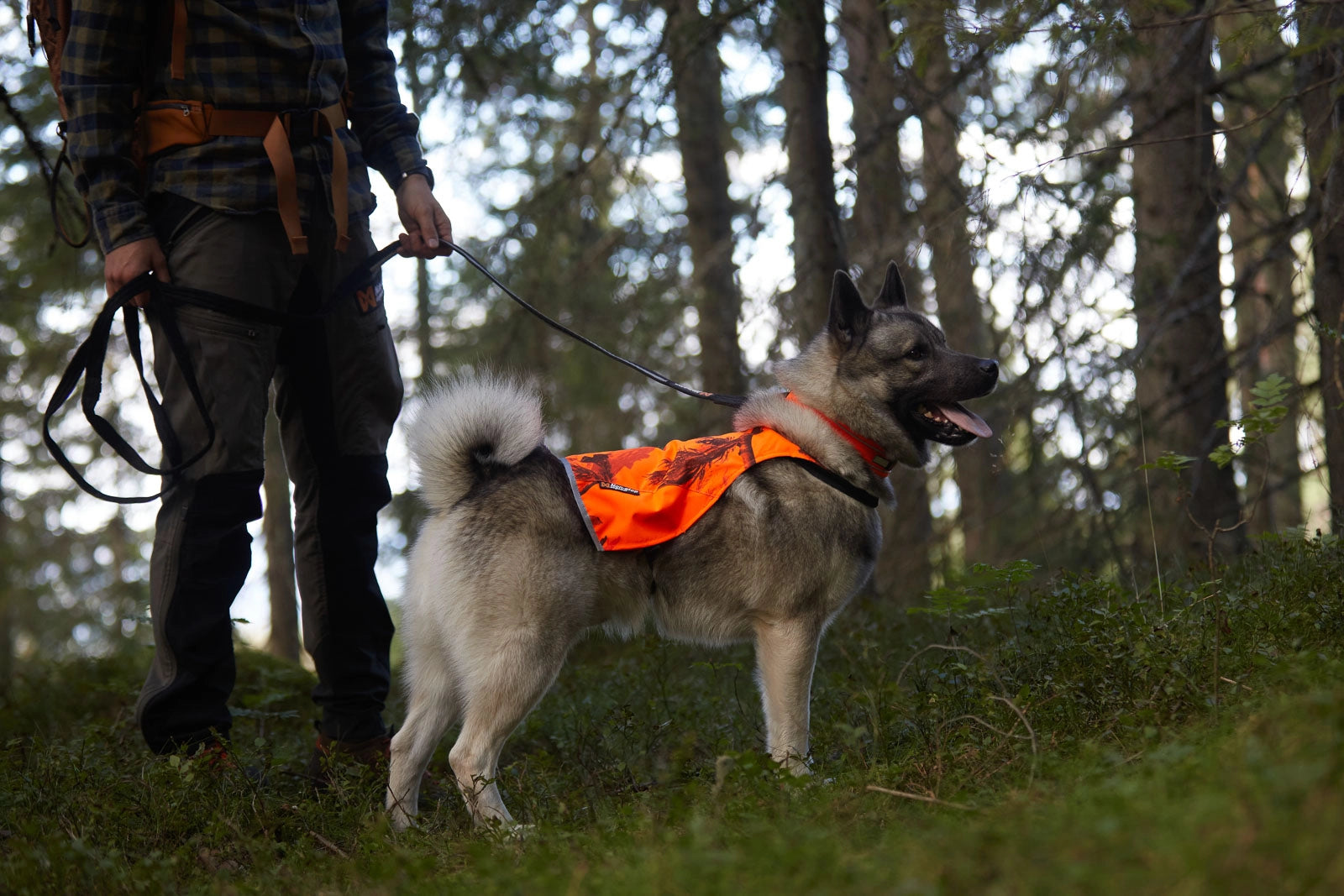 Non-stop Dogwear Camo Hundväst Orange