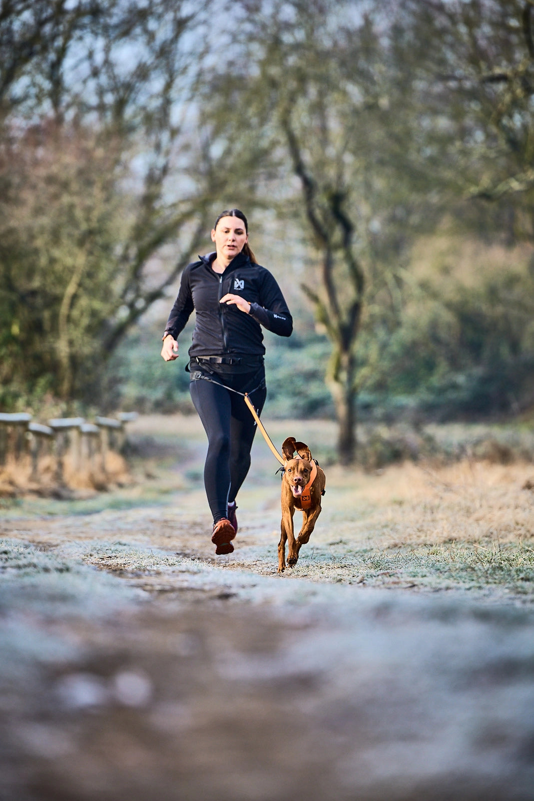 Non-stop Dogwear Canix Belt 2.0