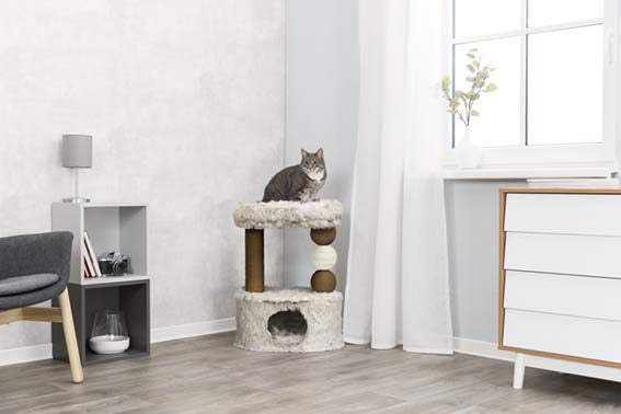 Klöspelare Harvey, 73 cm, brun