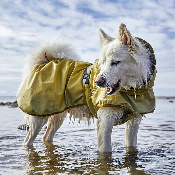 Hurtta Mudventure reflekterande hundjacka 3M Turmeric