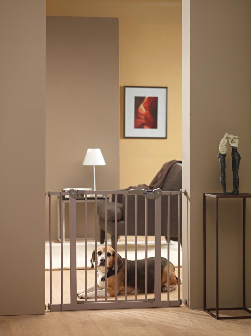 Savic ökningselement Hundgaller