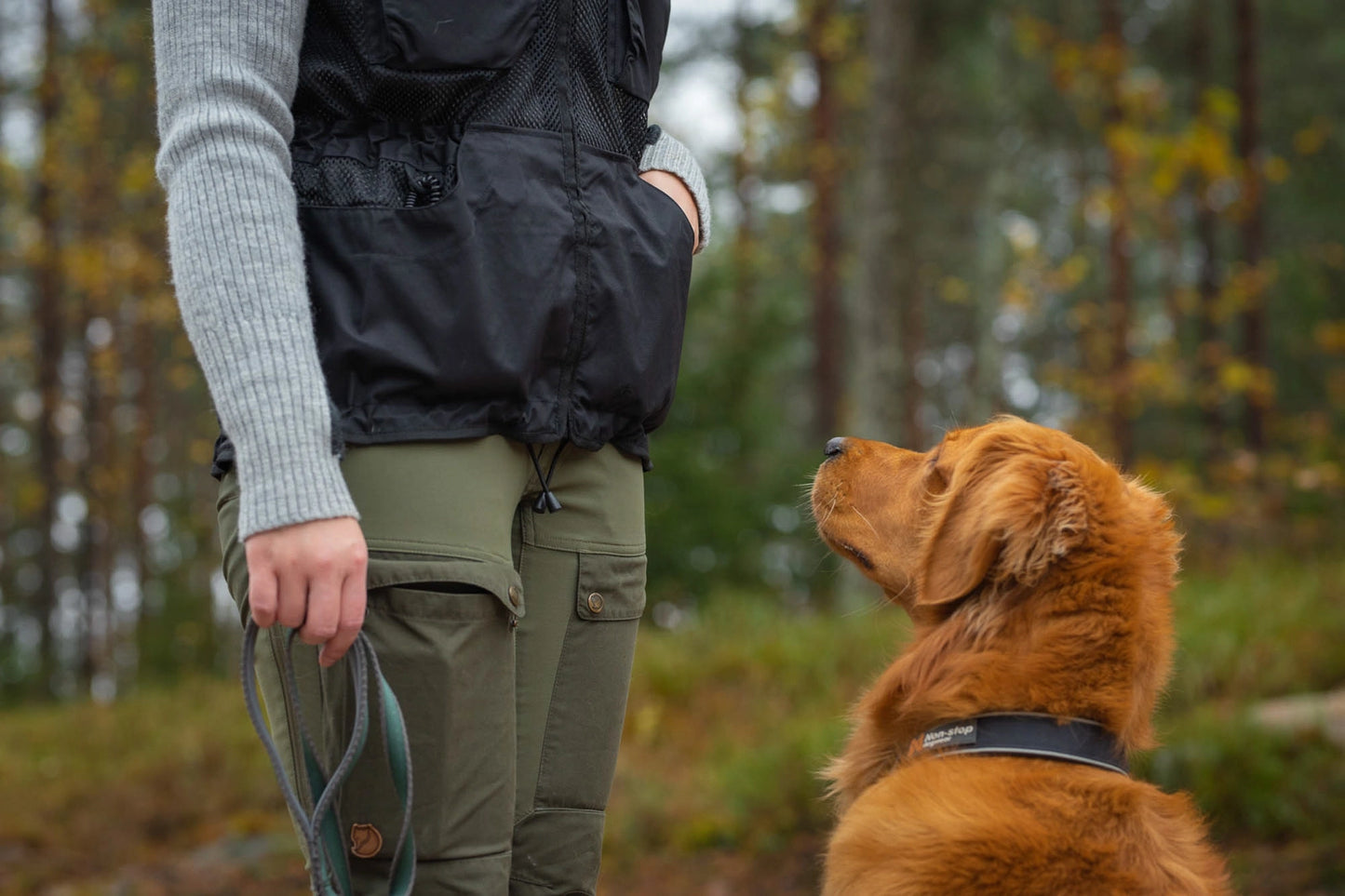 Non-stop Dogwear Dog training vest