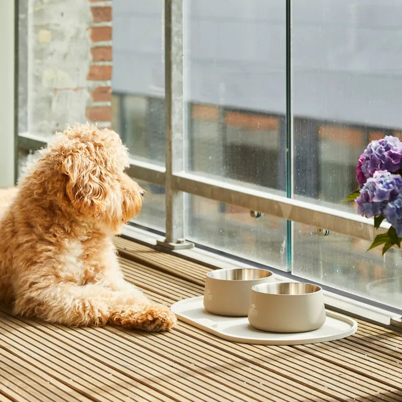 Dog copenhagen Vega Hundskål Beige