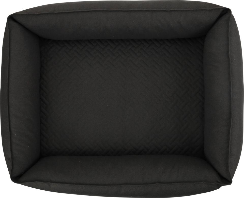 Companion Cocoon Niels Hundeseng