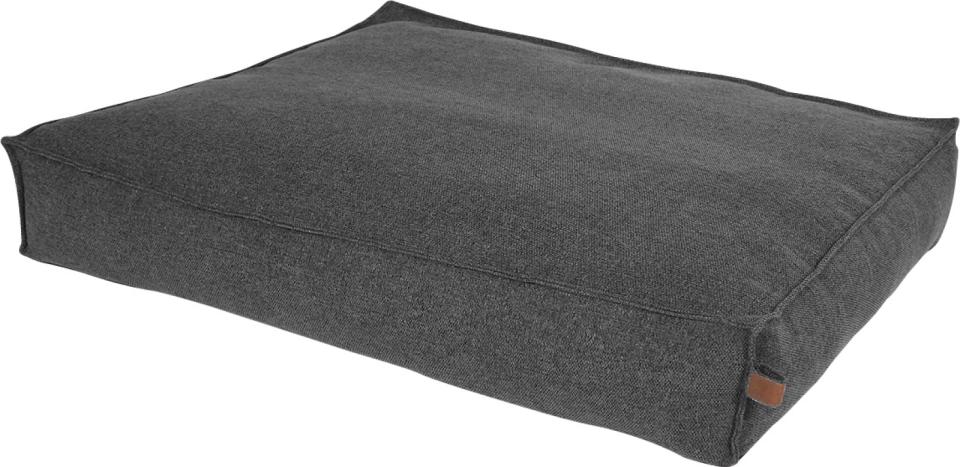 Fantail Stargaze Origin Madrass