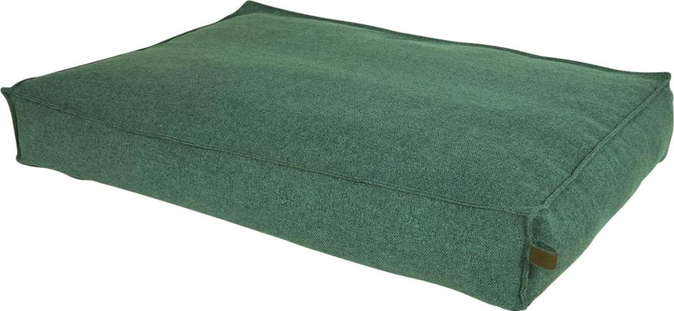 Fantail Stargaze Origin Madrass