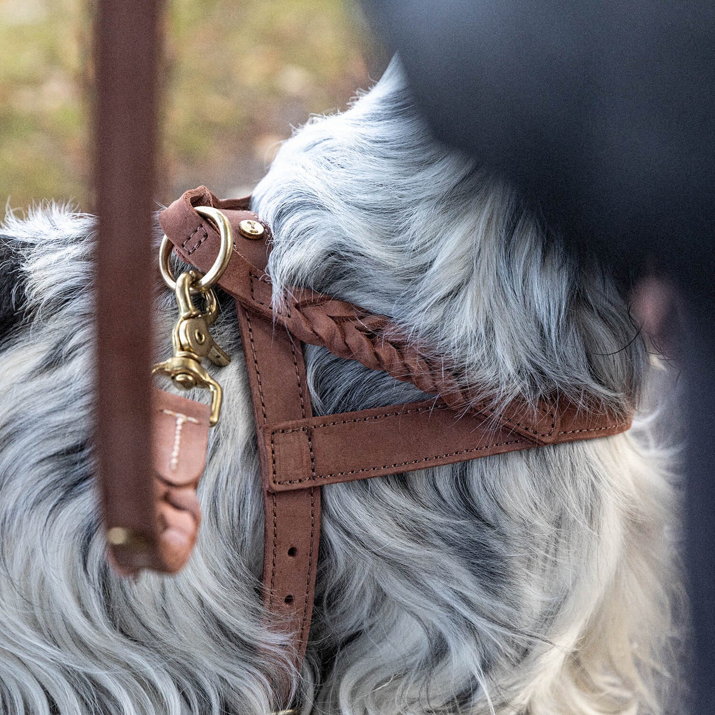 Denjo Dogs Hundsele Stockholm Läder Hazel