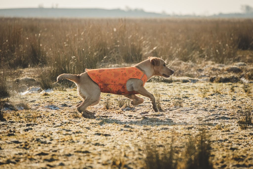 Hurtta Swimmer vest Orange camo