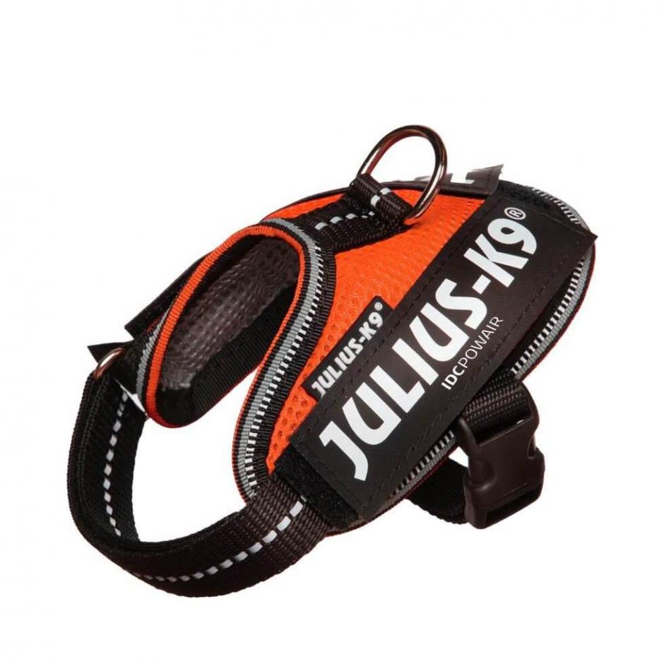 Julius-K9 IDC POWAIR sele Orange