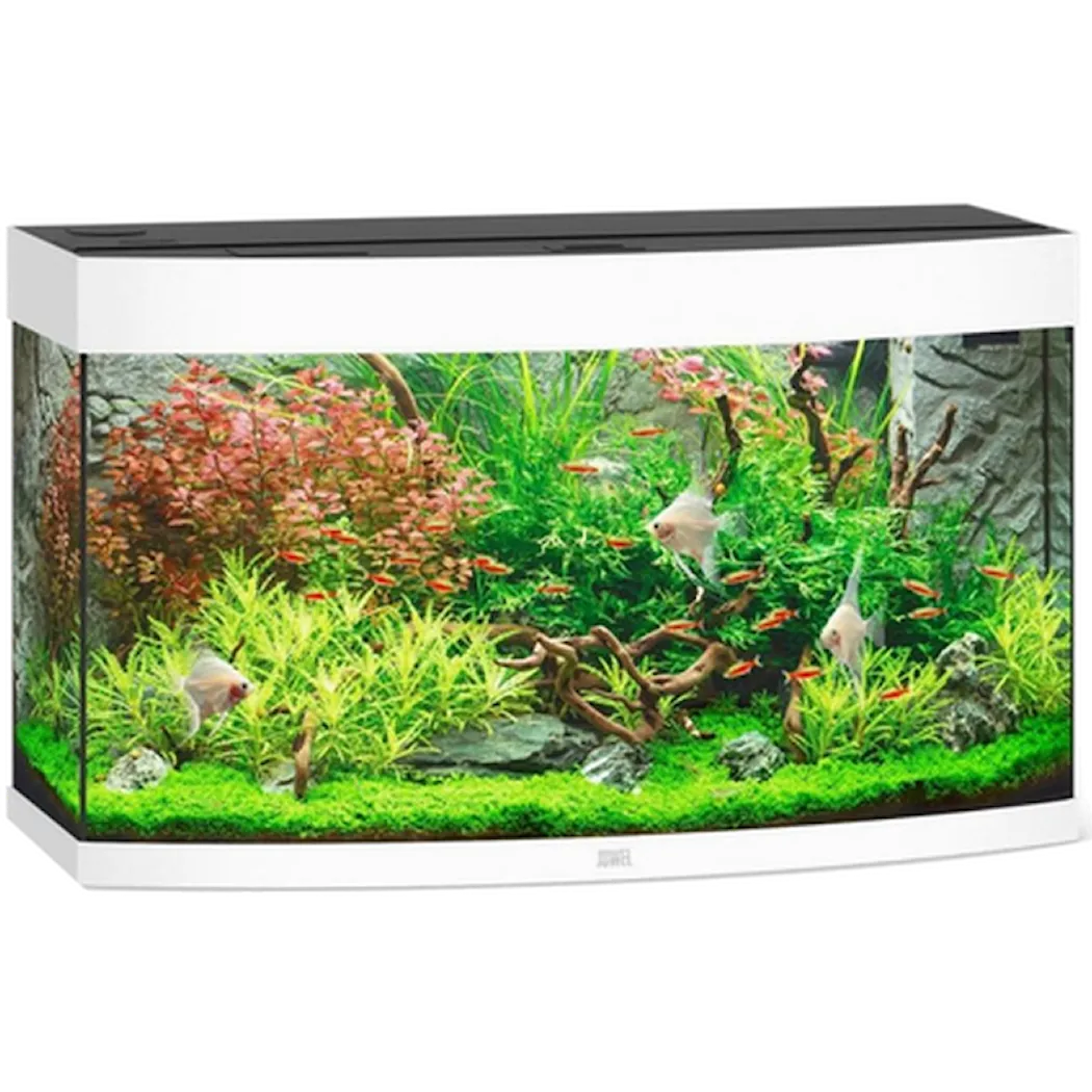 Juwel Vision Akvarium Vit