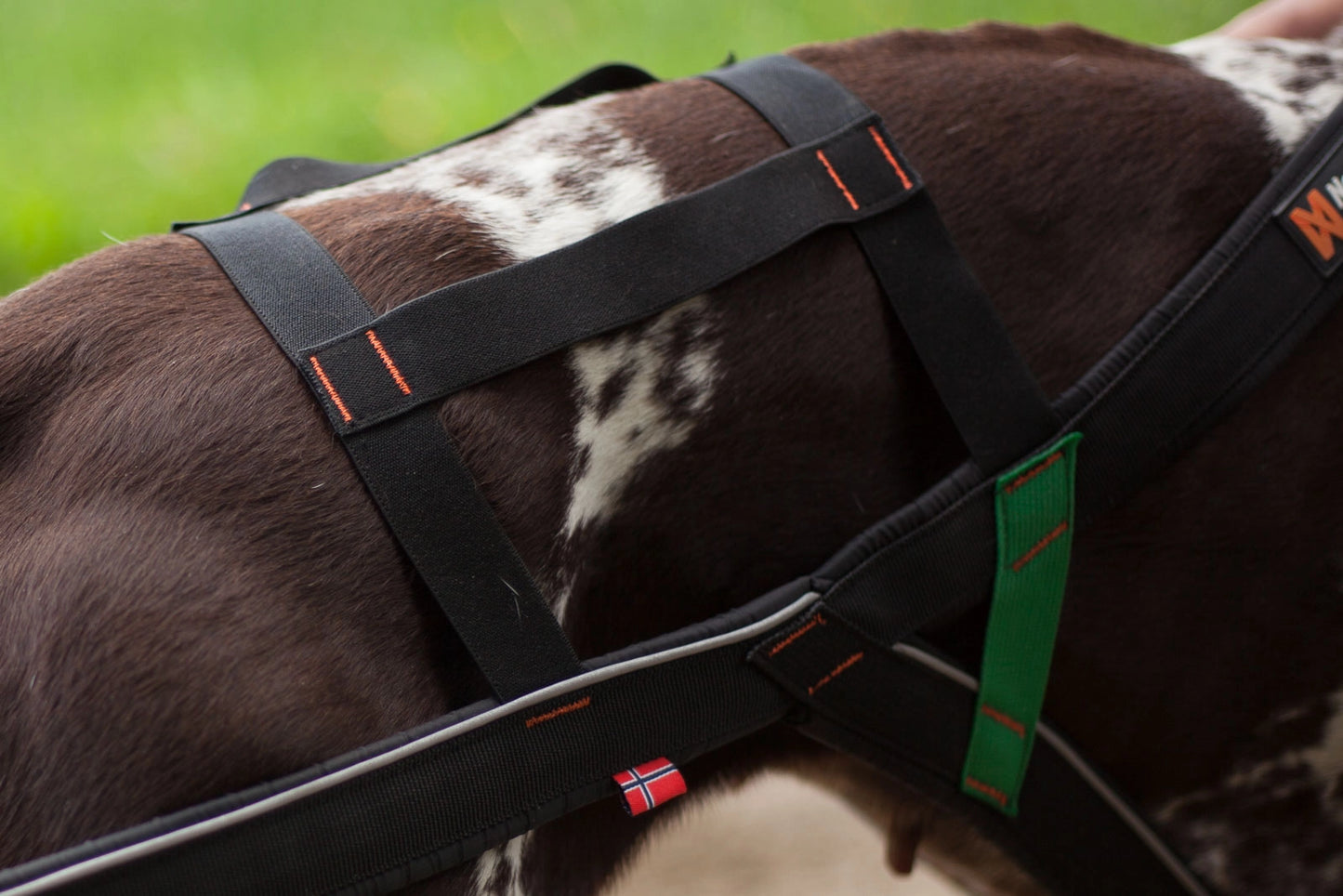 Non-stop Dogwear Nansen stick harness