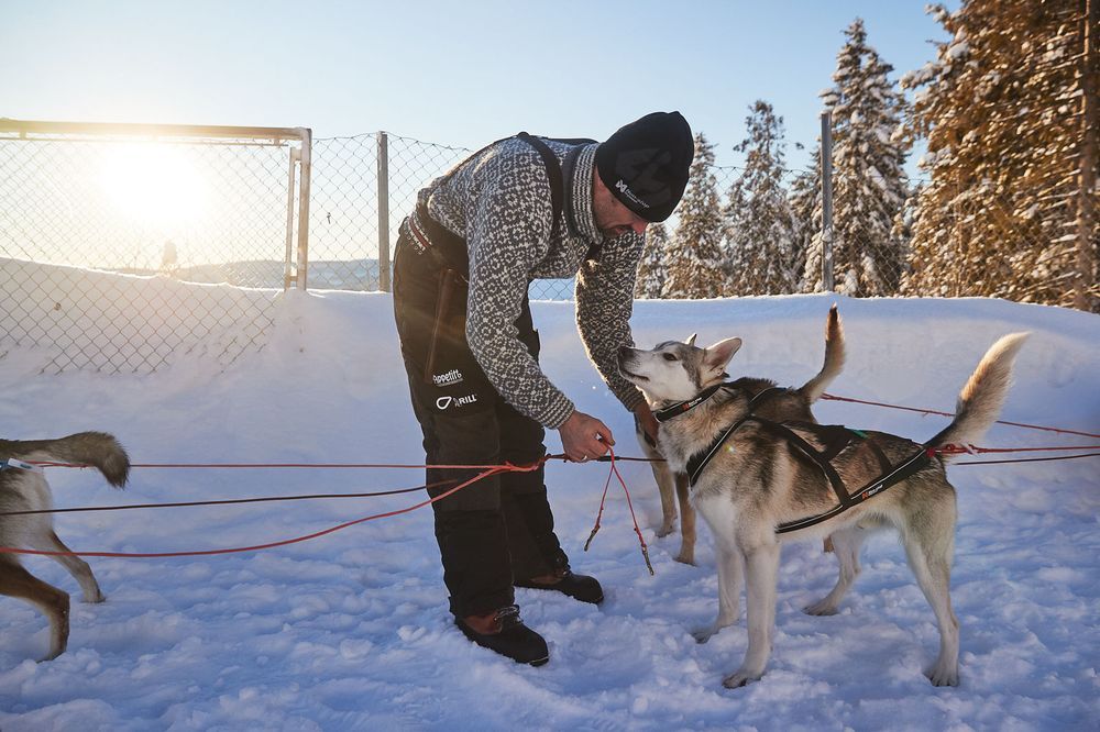 Non-stop Dogwear Arctic buksa 2.0